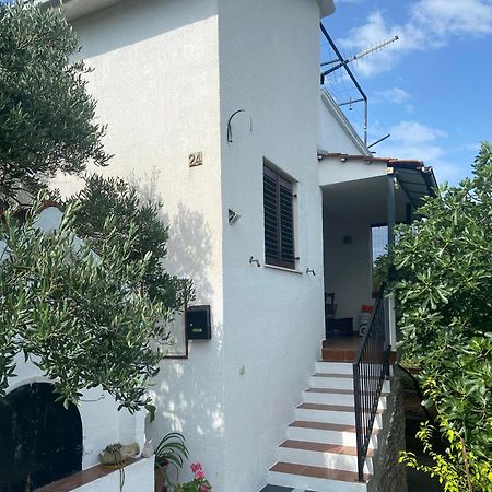 הוילה טרוגיר Family House Ljubica מראה חיצוני תמונה