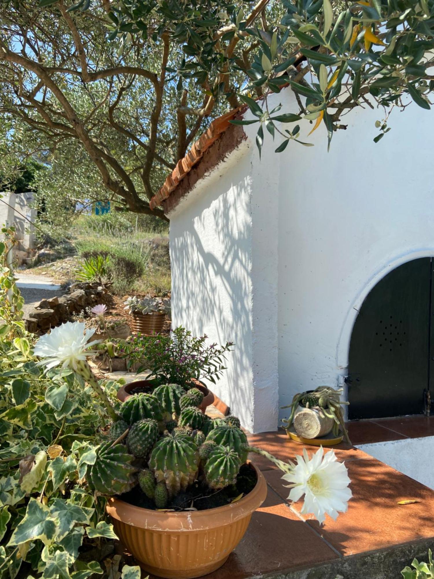 הוילה טרוגיר Family House Ljubica מראה חיצוני תמונה
